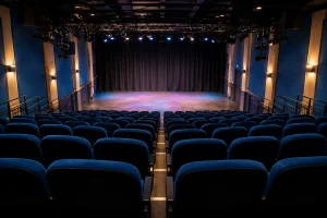 See a Show at Preston Playhouse