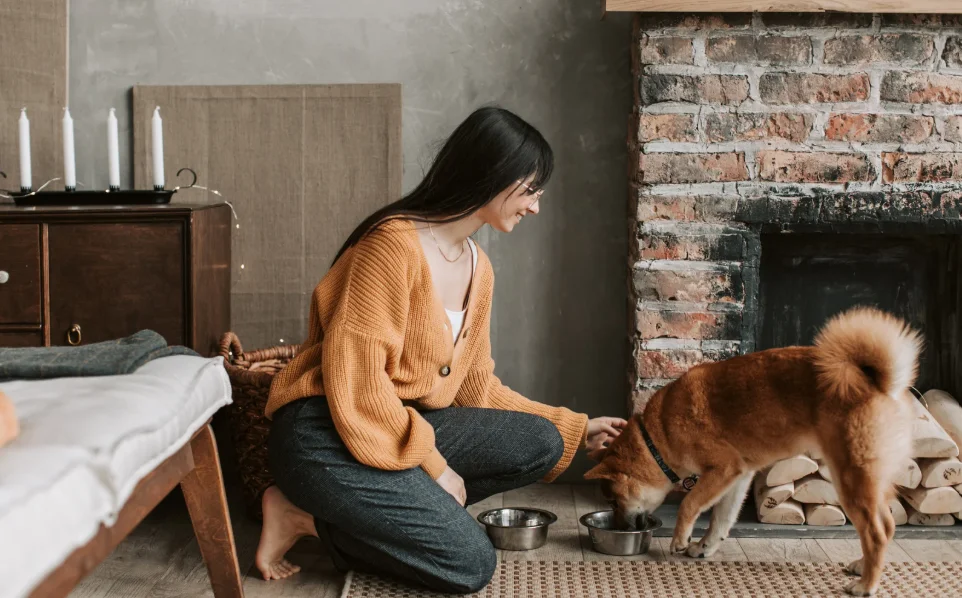 The Truth About Pets in UK Rental Properties